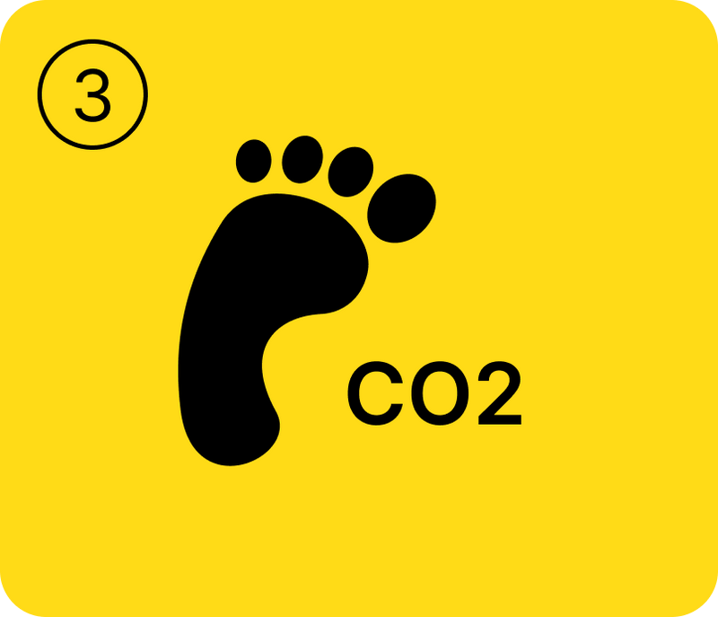 CO2 Challenge - Chapter 4: Own Consumption - Unraveling the Threads of Carbon Footprints