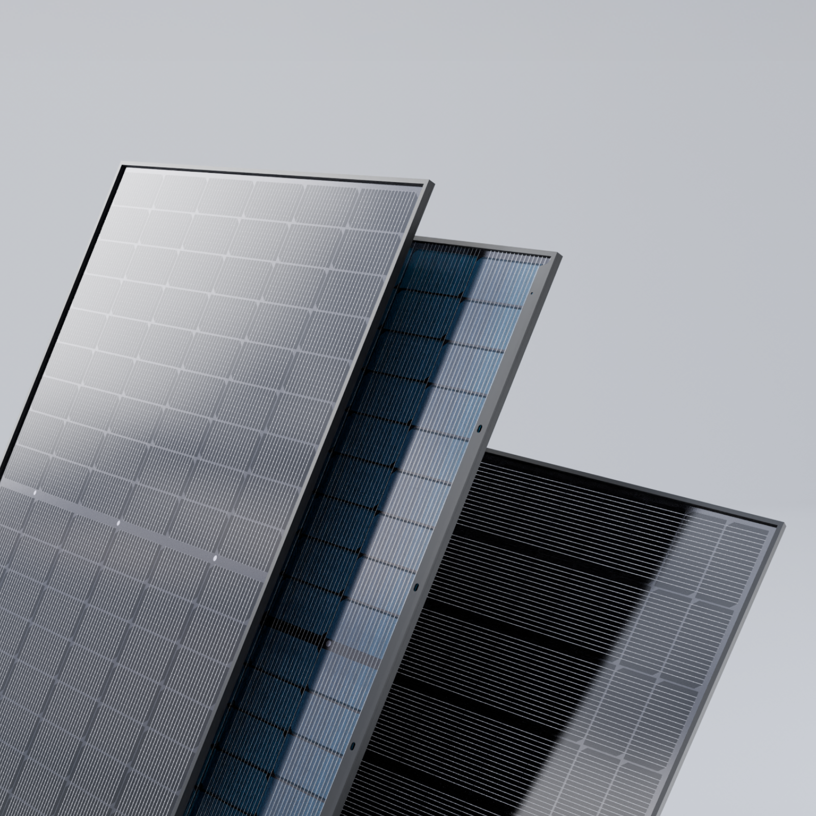 Basic (sin fijación)